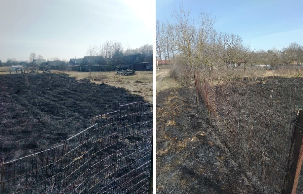 Штрафы за выжигание сухой растительности в Барановичах МЧС